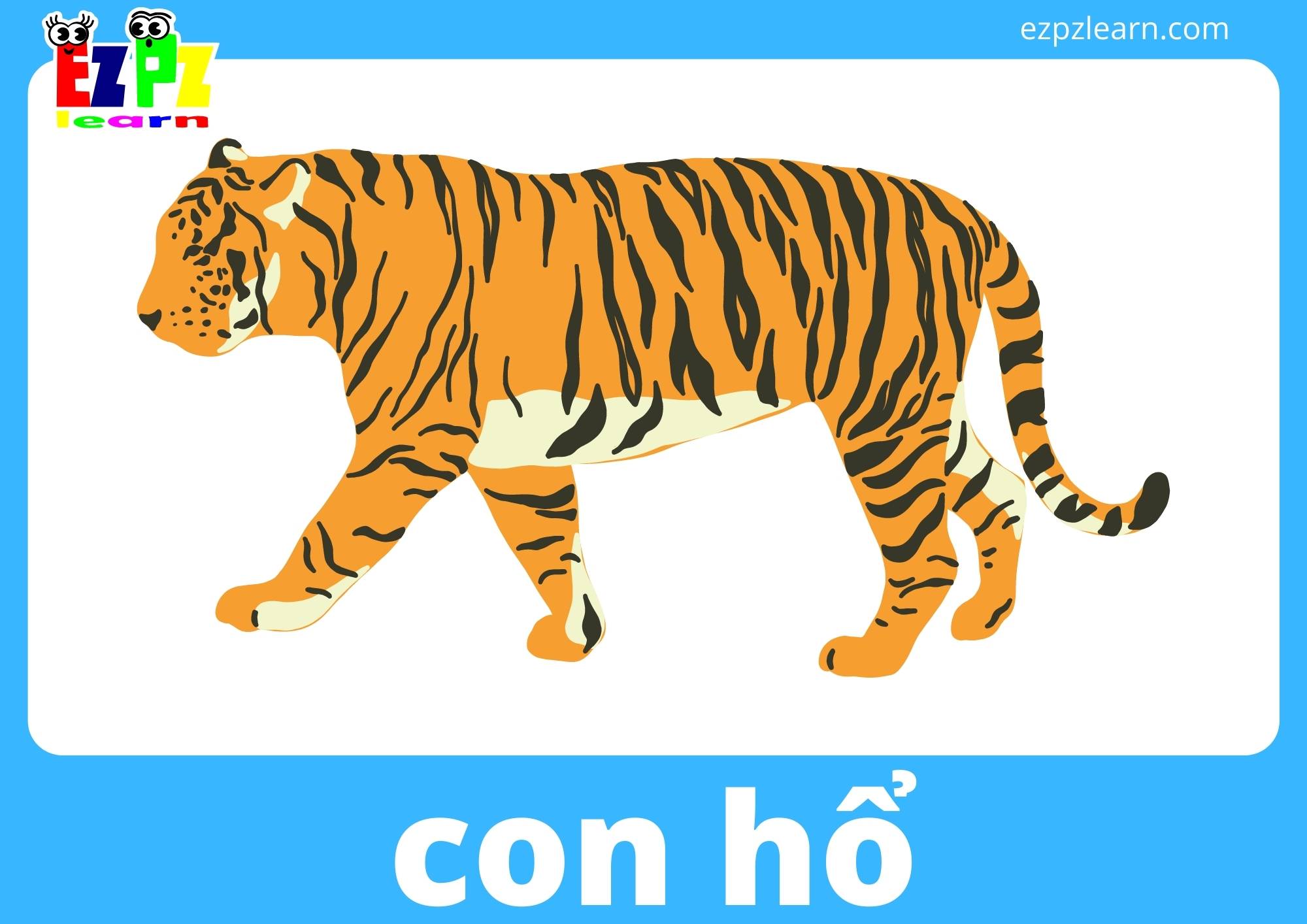 con hổ